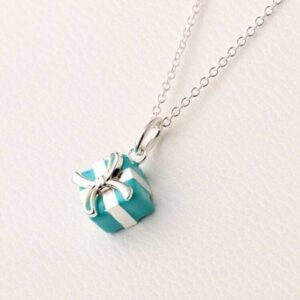Gift Charm Necklace