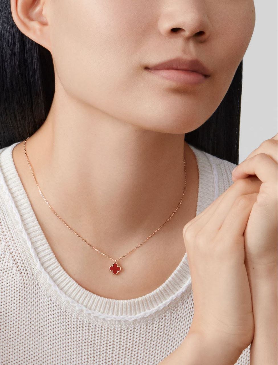 Mini Red Clover - Imagen 3