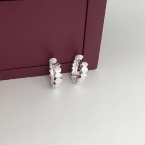 Teddy Hoop Shine Earrings